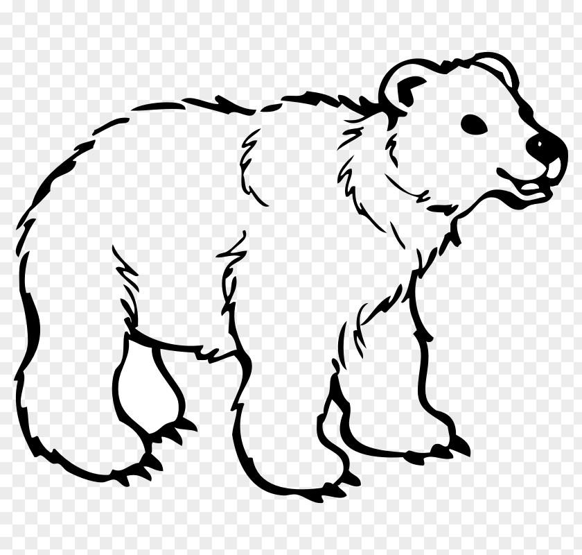 Cartoon Bear Images Polar American Black Brown Drawing PNG