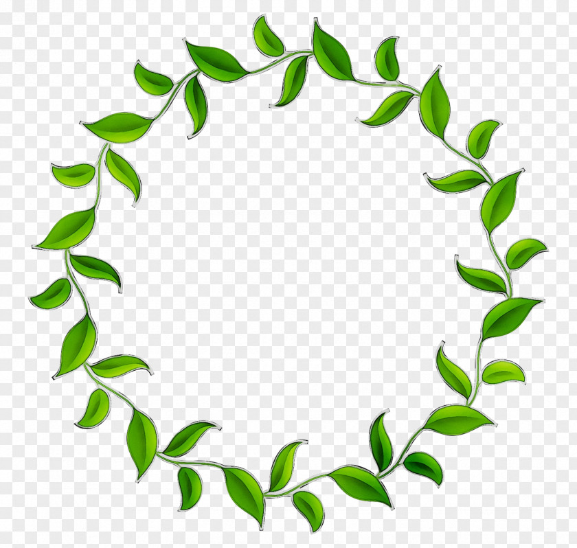 Clip Art Plant Stem Green Product Leaf PNG