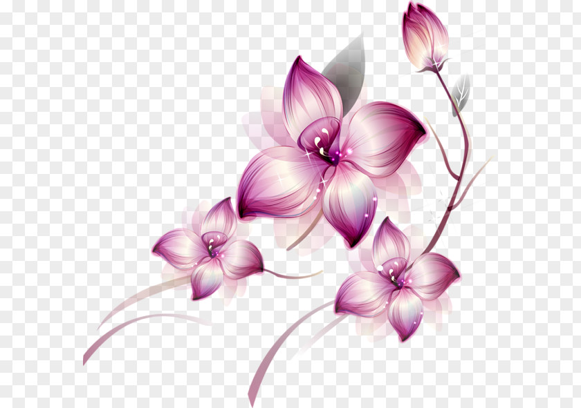 Lavender Flower Border Flowers Clip Art PNG