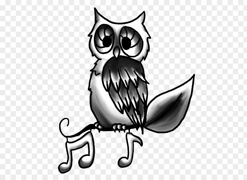 Owl Line Art Cartoon Beak Clip PNG