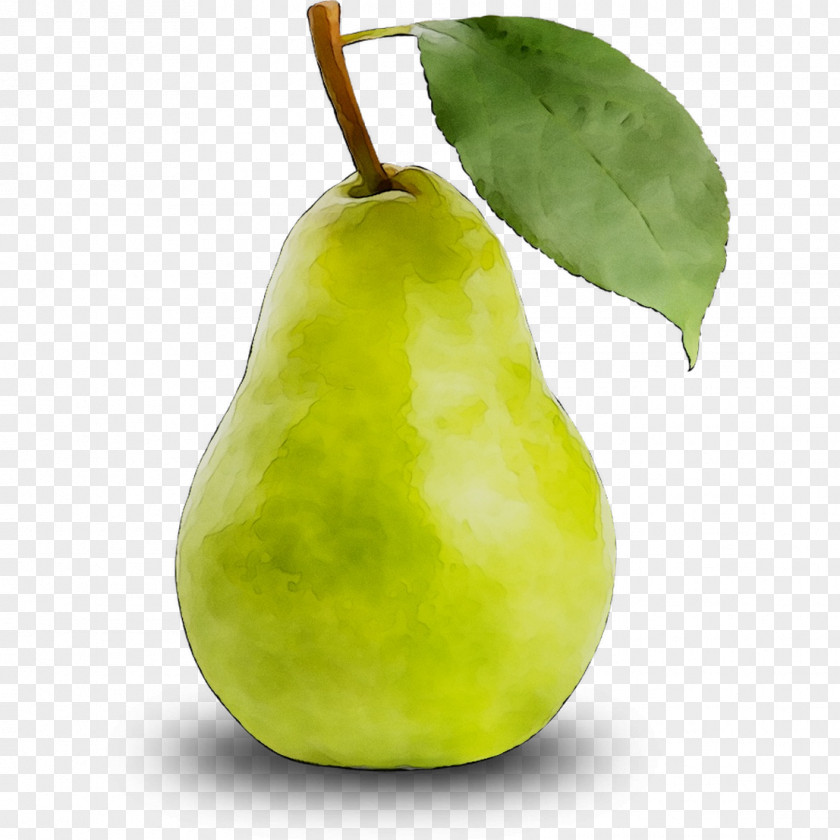Pear Still Life Photography Apple Fahrenheit PNG