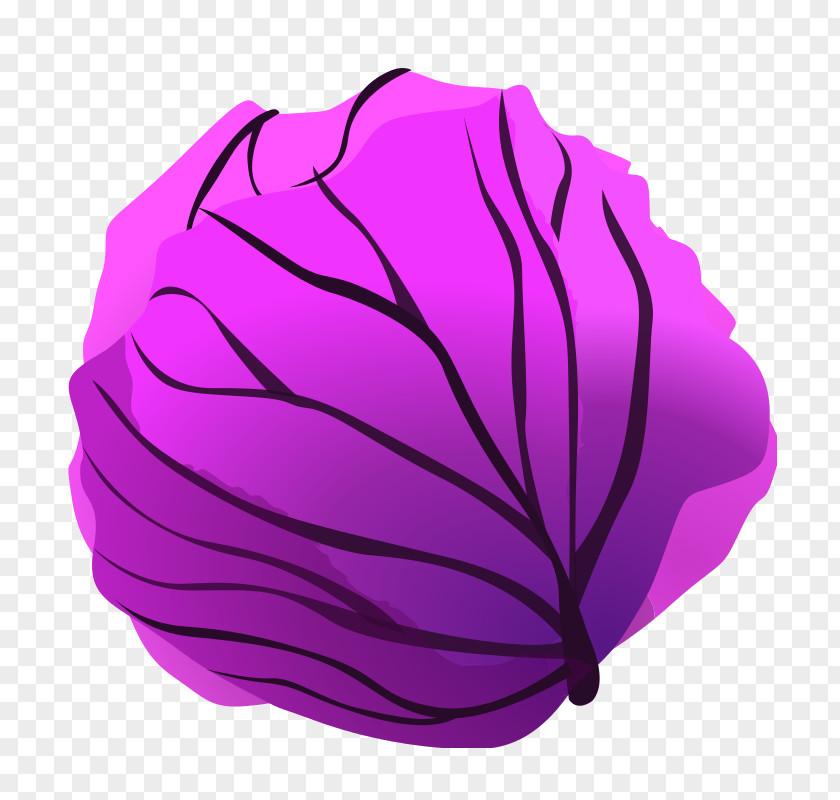 Purple Cabbage Clip Art Red Lettuce PNG