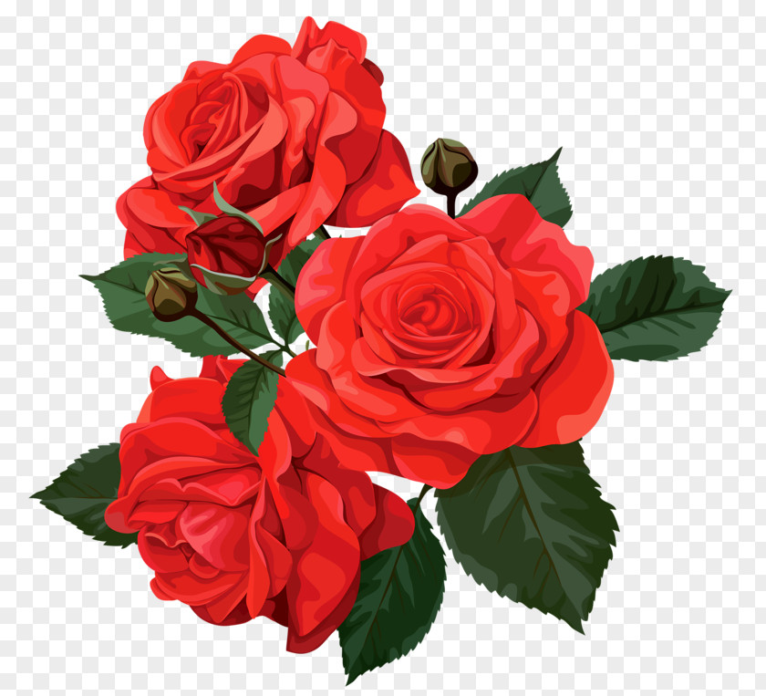 Red Roses With Thorns Flower Bouquet Rose Clip Art PNG