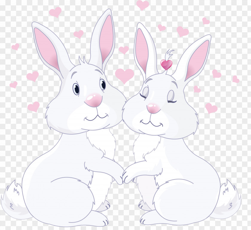 Relational Cliparts Domestic Rabbit Hare PNG