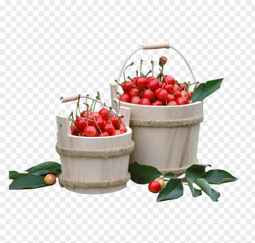 Cherry Picture Material Apricot Seed Fruit Food Sweet PNG