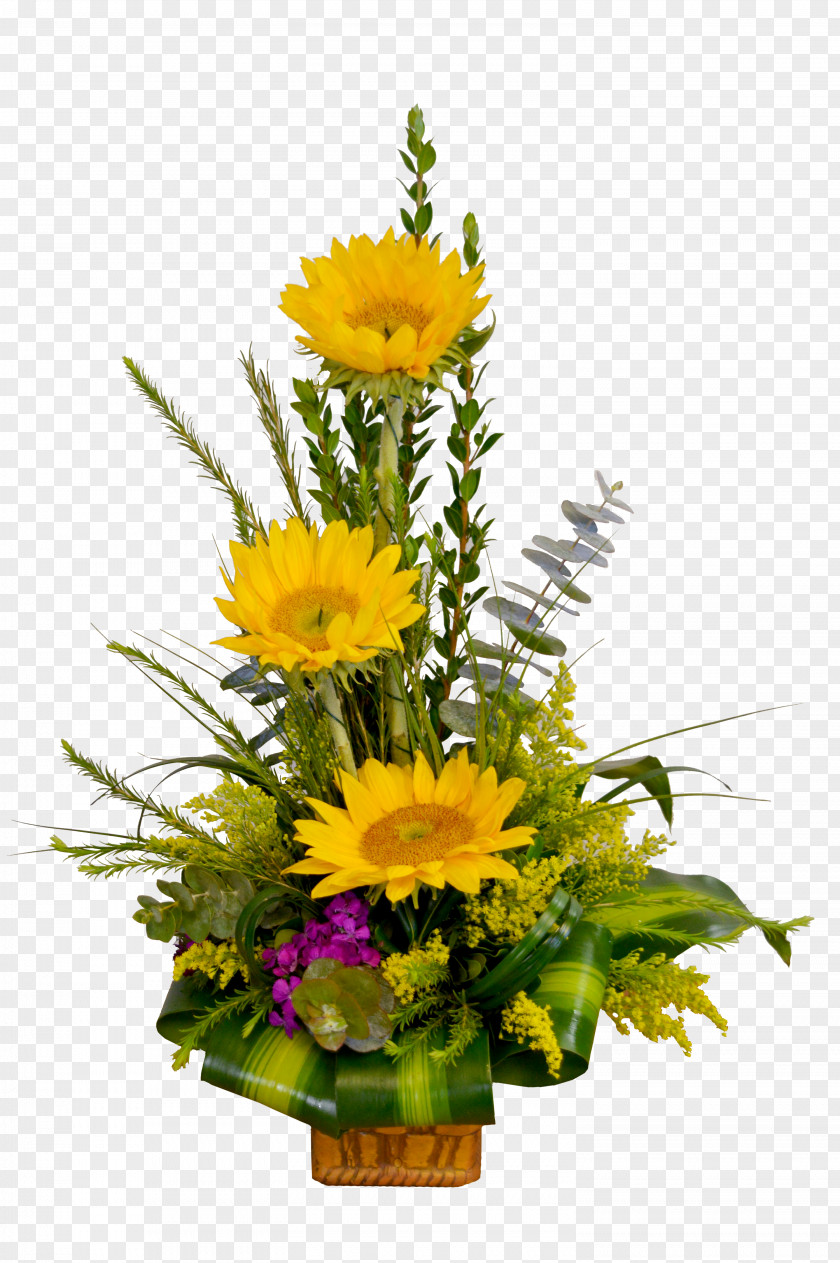 Flower Floral Design Warringah Florist Cut Flowers Bouquet Transvaal Daisy PNG
