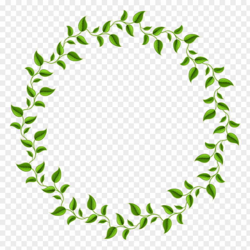 Green Leaves Decorative Circle Leaf Picture Frame PNG