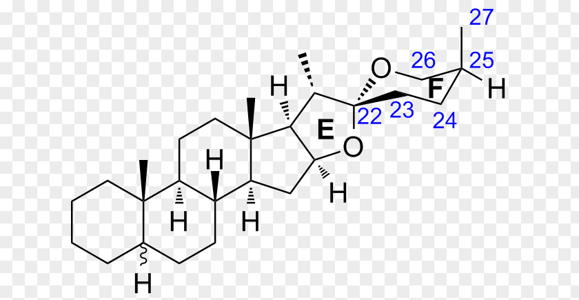 Organization Structure Deflazacort Steroid Estetrol Pharmaceutical Drug Beclometasone Dipropionate PNG