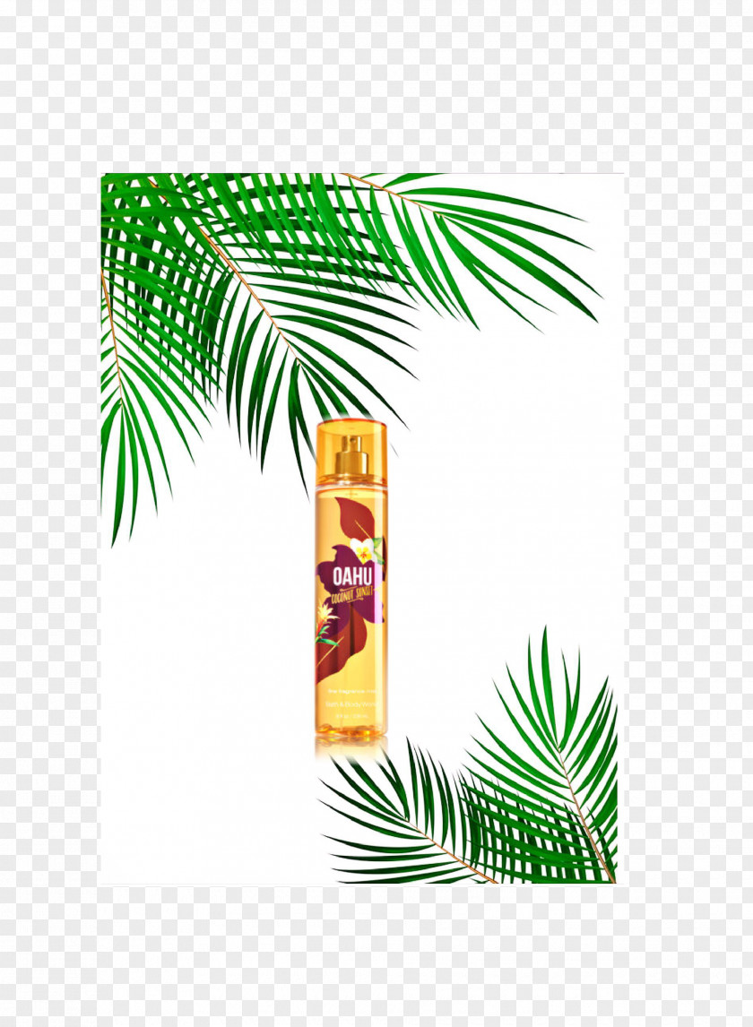 Perfume Palm Trees Victoria's Secret Lotion Image PNG