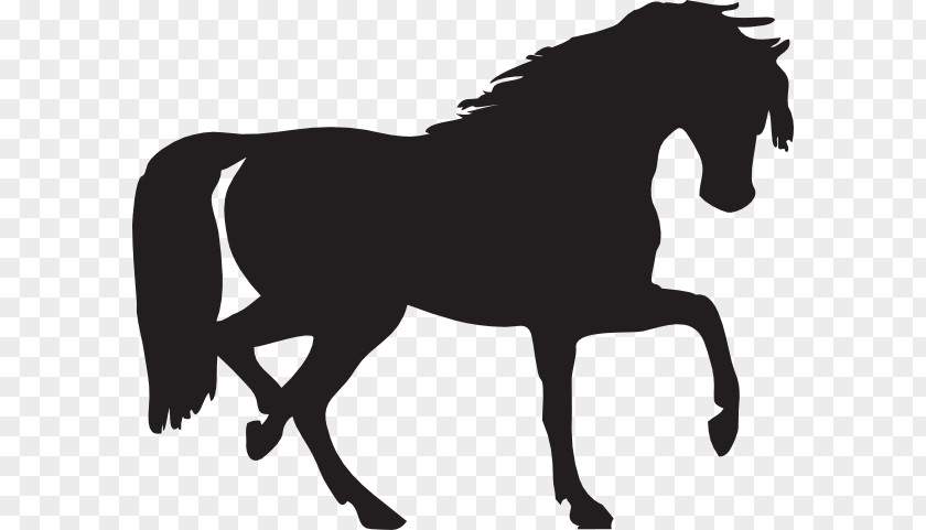 Wild Horse Clipart Arabian Silhouette Clip Art PNG
