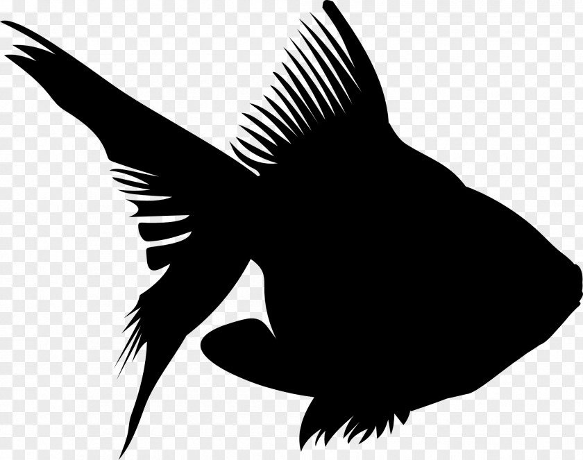 Beak Clip Art Fauna Silhouette PNG