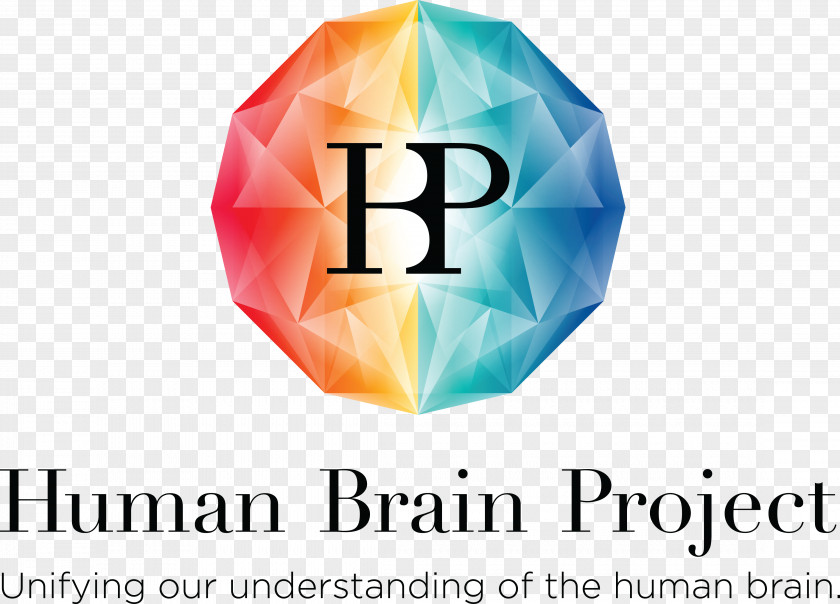 Brain Human Project European Union École Polytechnique Fédérale De Lausanne PNG