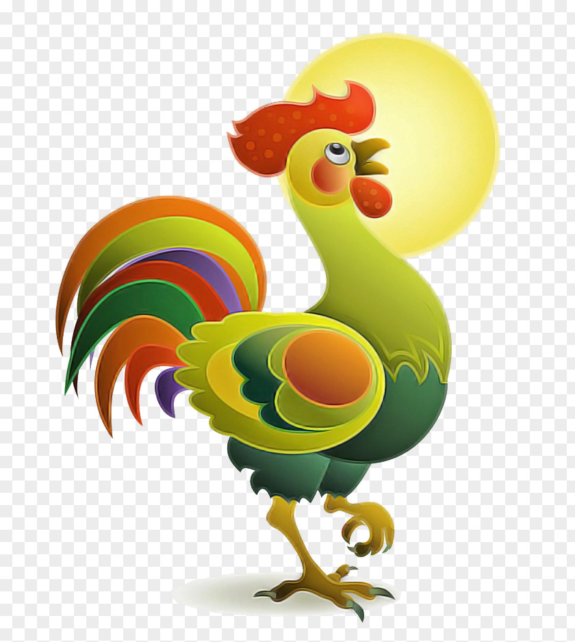 Chicken Rooster Bird Livestock Poultry PNG