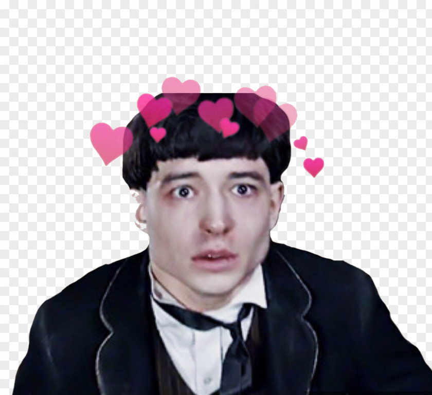 Ezra Miller Fantastic Beasts And Where To Find Them Film Series Credence Barebone Gellert Grindelwald PNG