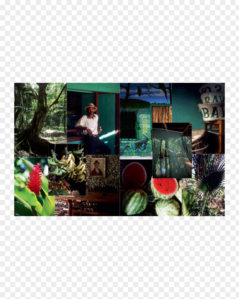 Frank Ocean House Publishing Book Sea Collage PNG