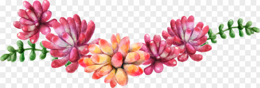 Succulent Plants Wreath Watercolor Painting Flower Bouquet PNG