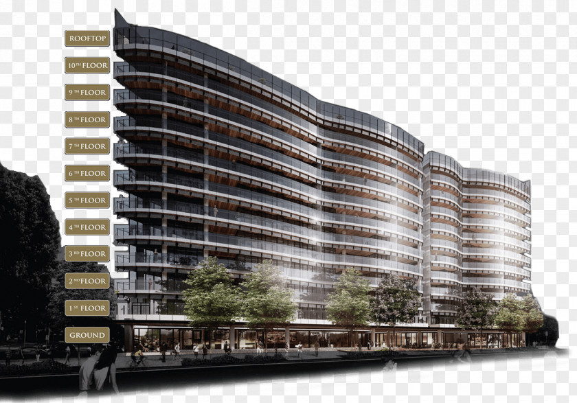 Banyan Tree Architecture Commercial Building Architectural Engineering Facade PNG
