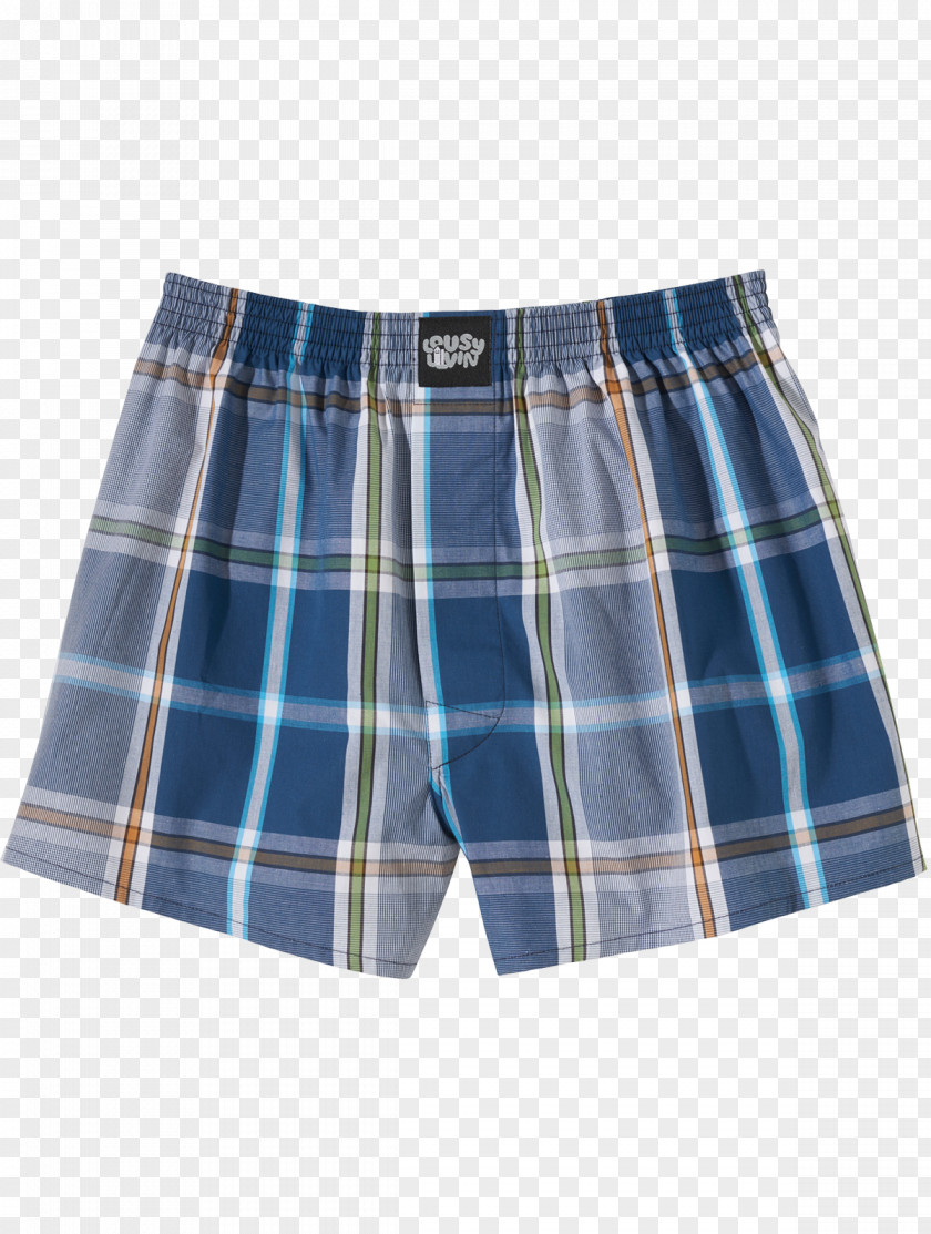 Beetrot Trunks Swim Briefs Underpants Bermuda Shorts PNG