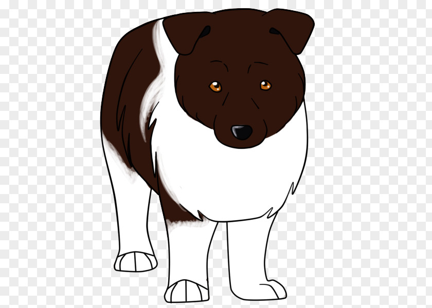 Dog Breed Whiskers Bear Snout PNG
