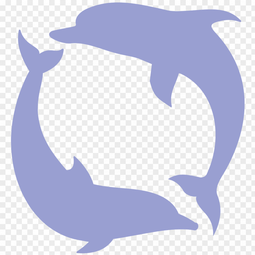Dolphin Common Bottlenose Tucuxi Killer Whale Cetacea PNG