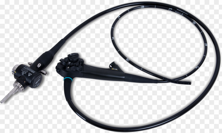 Endoscopy Esophagogastroduodenoscopy Colonoscopy Bronchoscopy Endoscope PNG