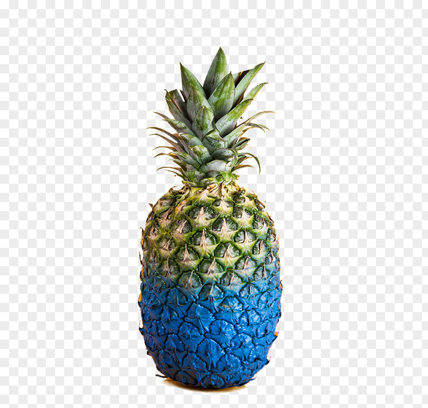 Gorgeous Pineapple Anjuna Ice Pop Brand Advertising PNG