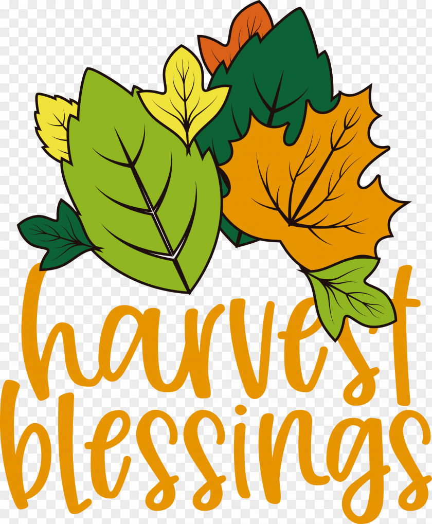 Harvest Autumn Thanksgiving PNG