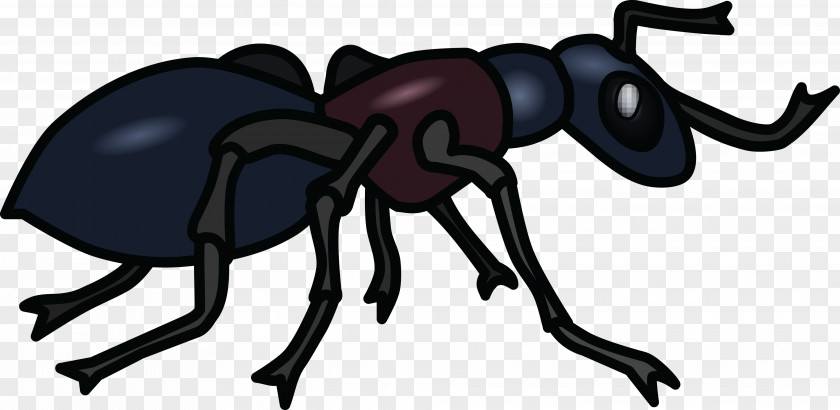 Black Garden Ant Clip Art PNG