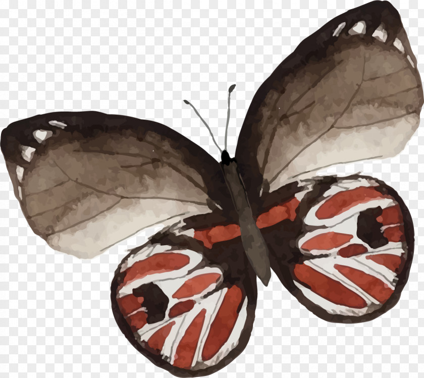 Butterfly Pattern Painting Drawing PNG