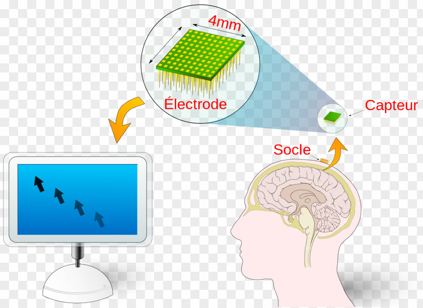 Computer Interface Software Information Data PNG