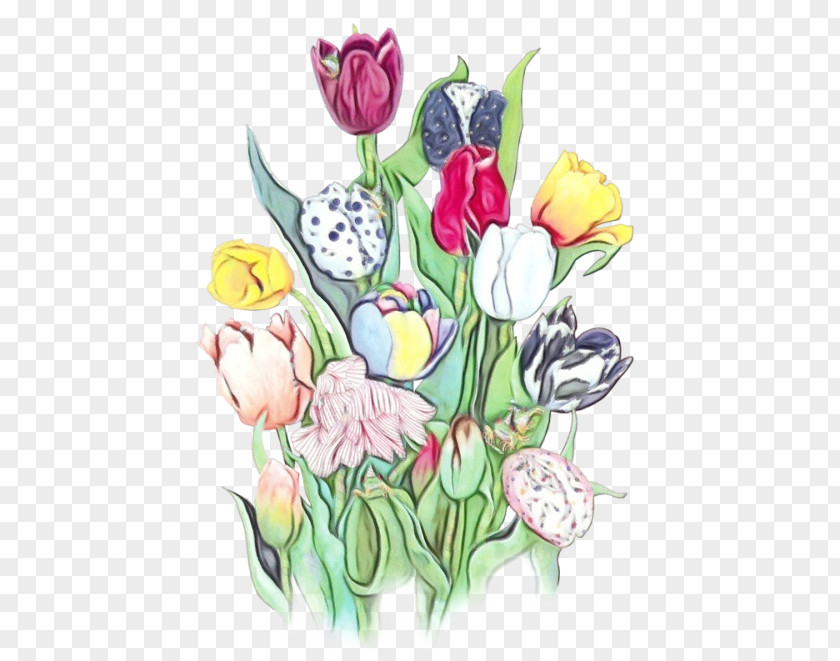 Flower Tulip Plant Cut Flowers Lily Family PNG