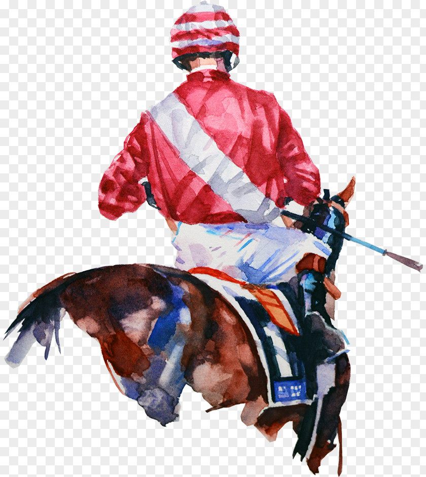 Horse Costume Design Knight Jockey International PNG