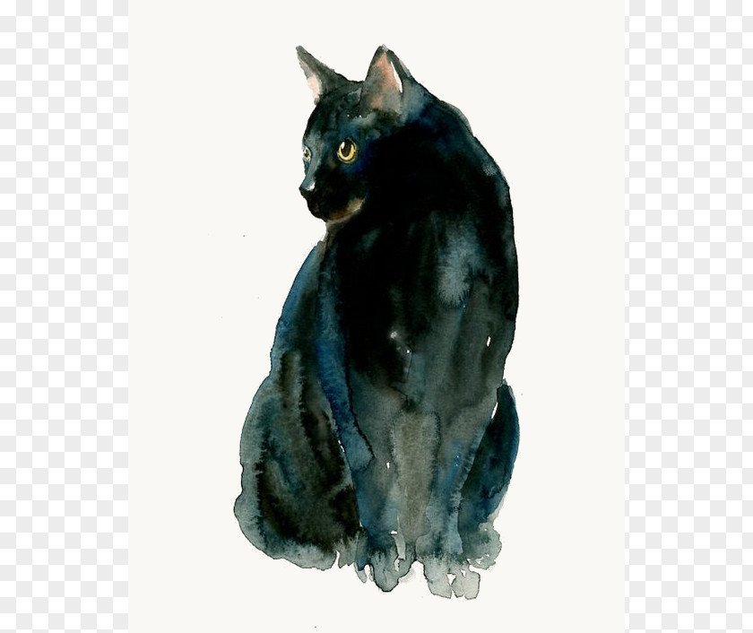 Painting Black Cat Siamese Watercolor Old Possum's Book Of Practical Cats Why Paint PNG