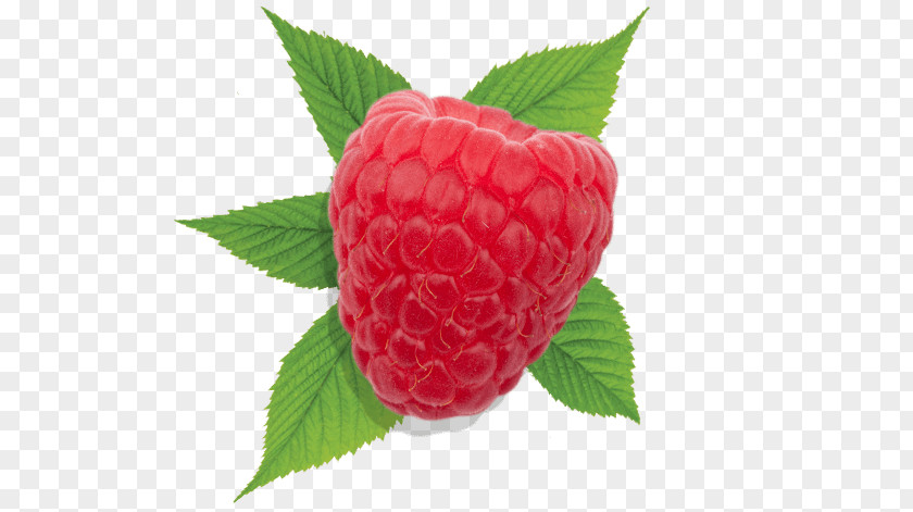 Raspberry Smoothie Strawberry Driscoll's Auglis PNG