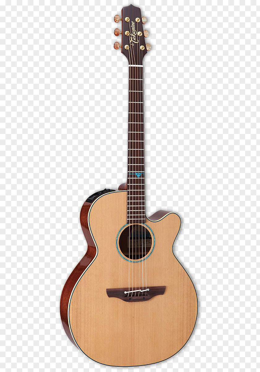 Takamine Acoustic Guitar Dreadnought Acoustic-electric Cutaway PNG
