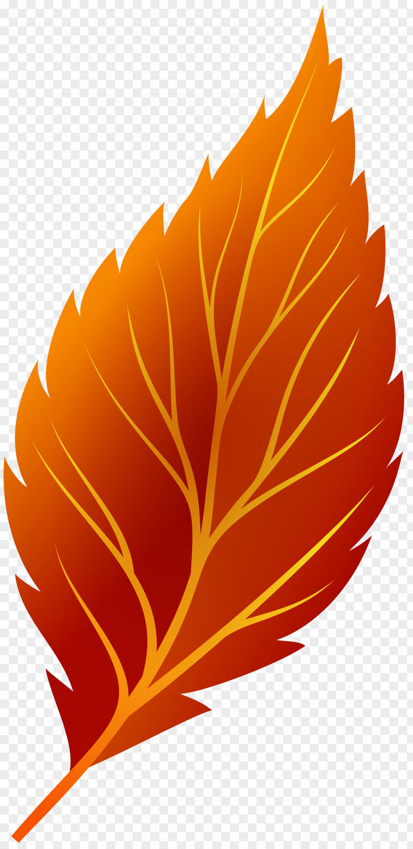 Autumn Leaves Leaf Color Clip Art PNG