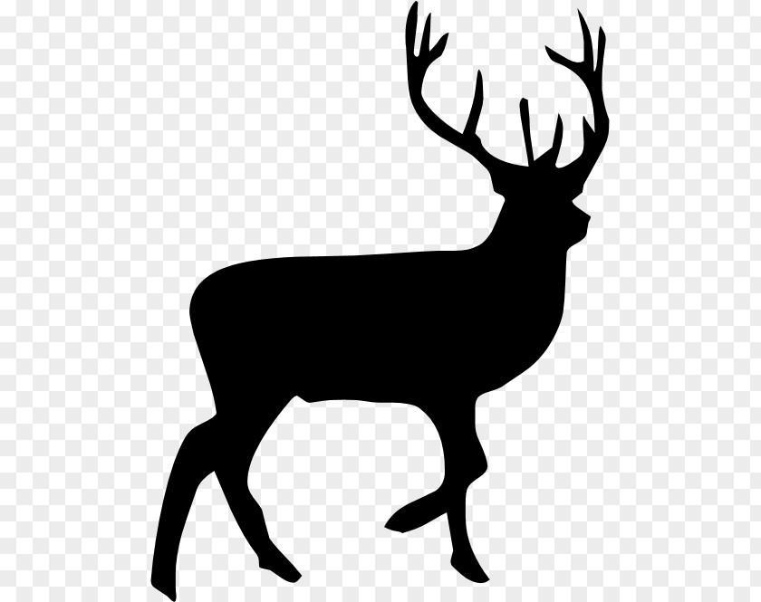 Deer Reindeer Moose Silhouette Clip Art PNG