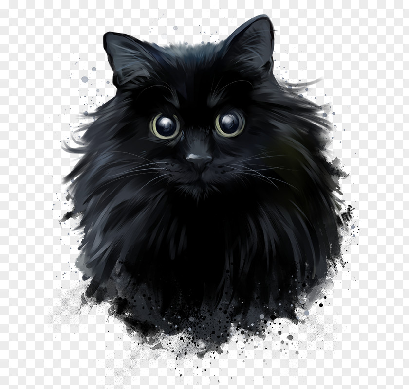 Persian Cat Black Norwegian Forest Drawing PNG