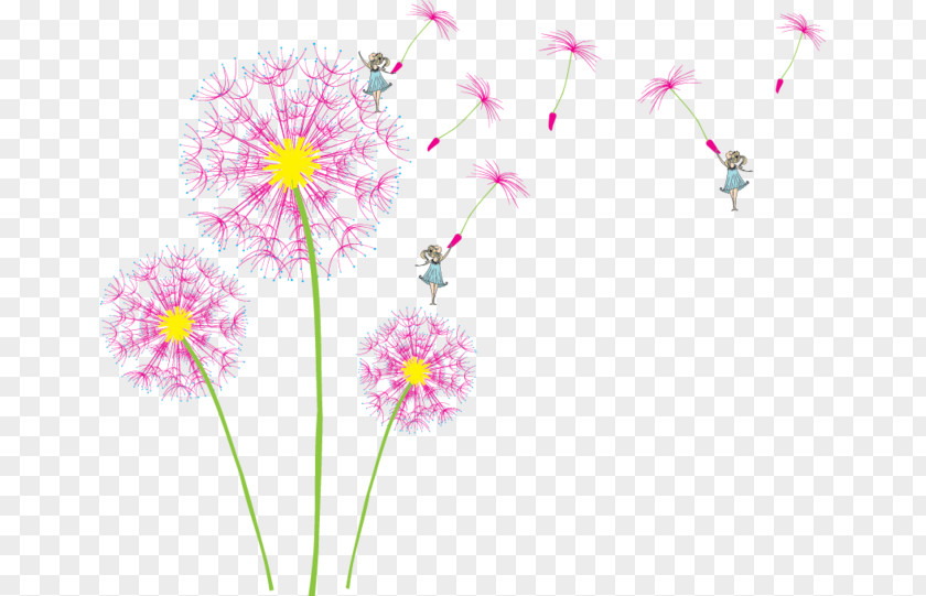 Pink Dandelion IPhone 4S Clip Art PNG
