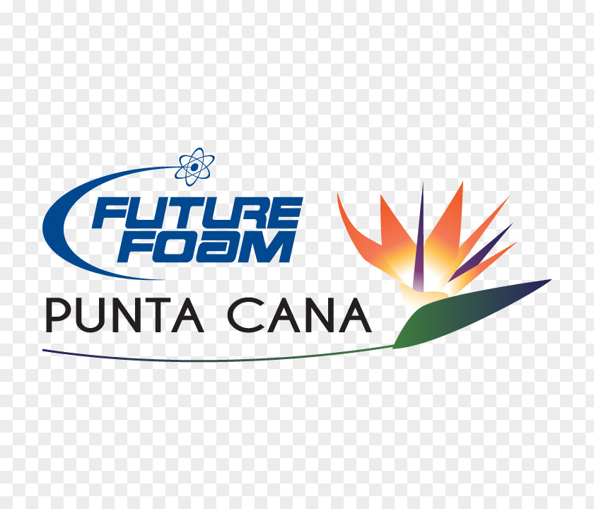 Punta Cana Logo Brand Font Product PNG