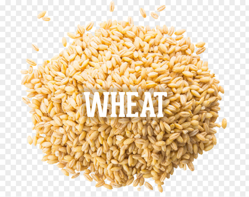 Wheat Spelt Vegetarian Cuisine Rice Cereal Whole Grain PNG