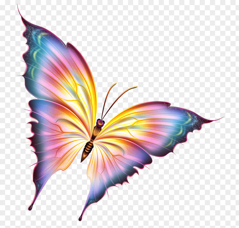 Yellow-blue Painted Ghost Butterfly Clip Art PNG