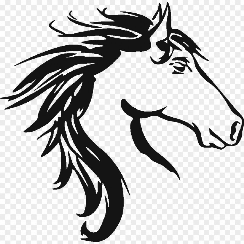 Exploding Head Mustang Friesian Horse Arabian Equestrian Stallion PNG