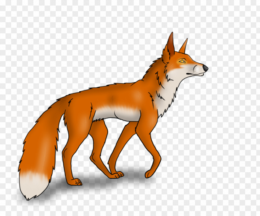 Fox Red Jackal Gray Wolf PNG
