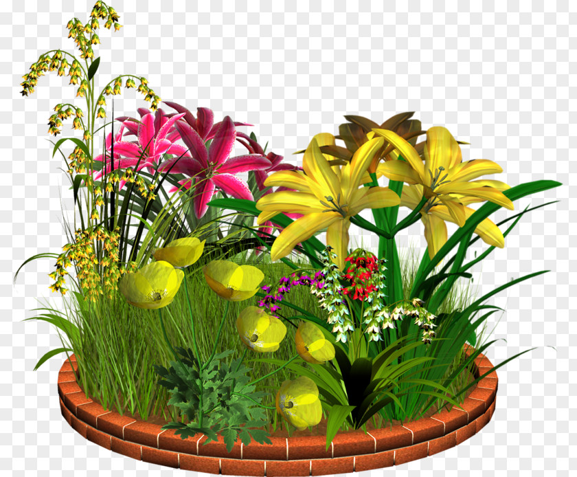 Mimosa Flower Garden Clip Art PNG