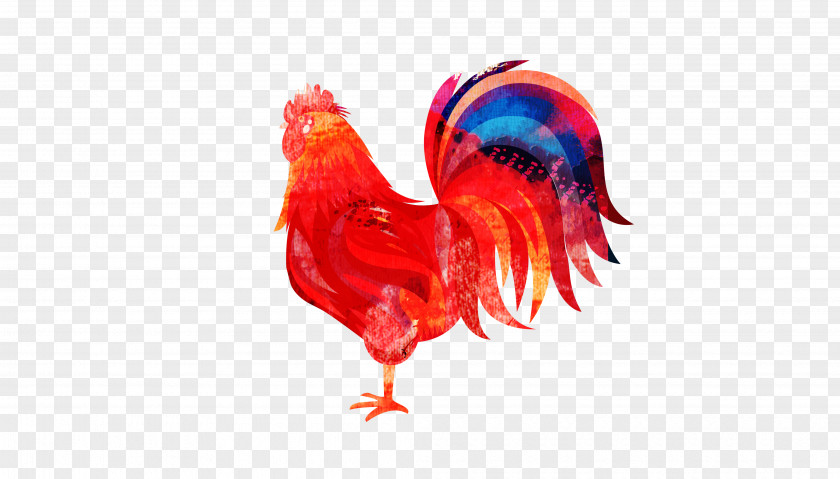 2017 Cock Chicken Rooster Zazzle PNG