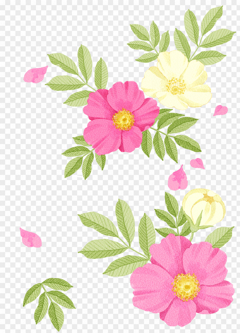 Flowers Watercolor Painting Drawing Illustration PNG