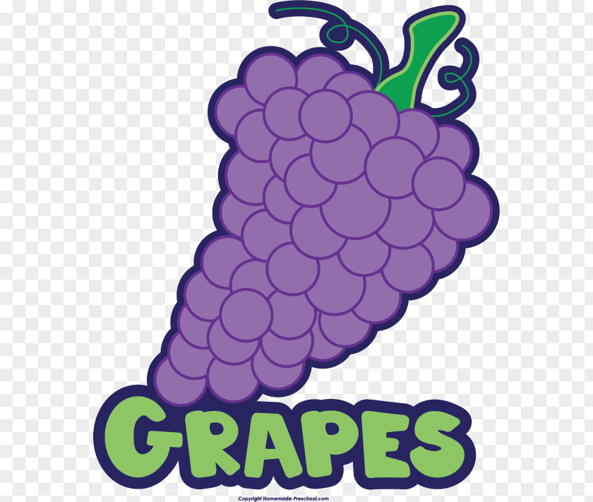 Grape Wine Kyoho Classic Clip Art PNG