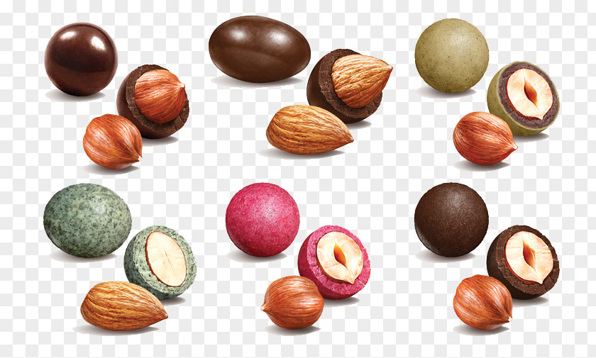 Hand-painted Chocolate Nuts Nut Dried Fruit PNG