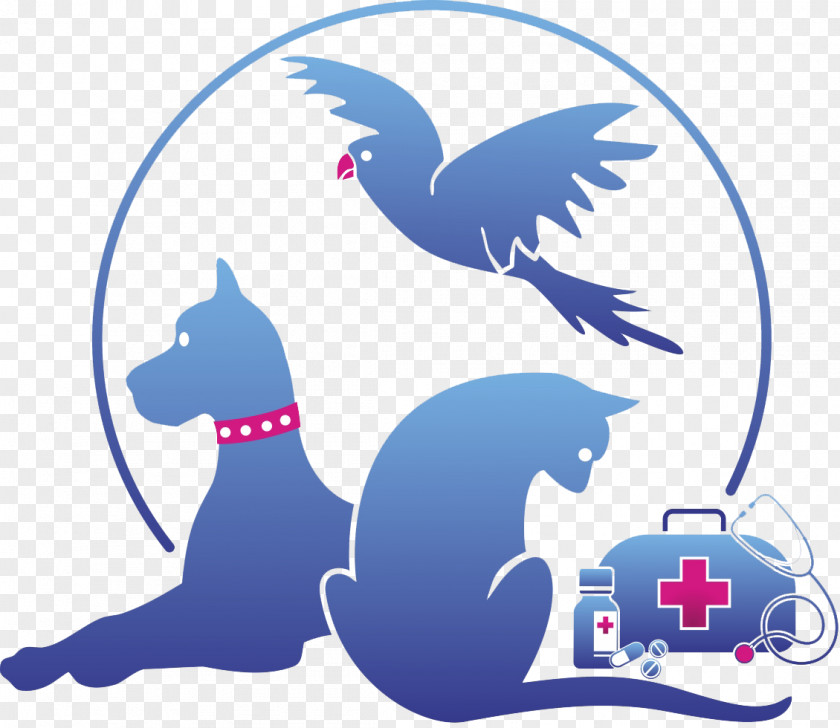 Cat Veterinary Medicine Veterinarian Dog Clinic PNG